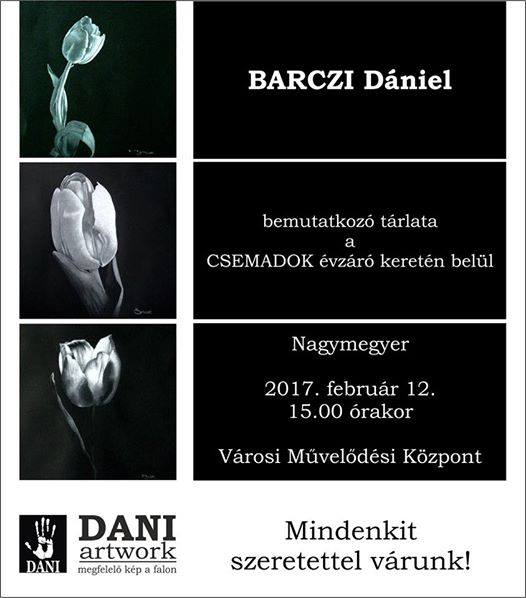 nagymegyer-barczi-daniel-kiallitas-2017